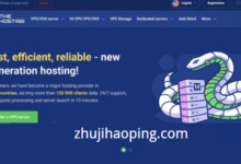 the.hosting预售马来西亚VPS,5.1折优惠,10Gbps带宽/不限流量-主机好评