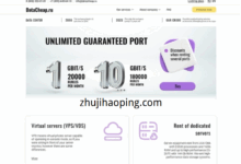 datacheap:俄罗斯/荷兰/捷克VPS,低至$2.1/月,1Gbps带宽/每月5T流量-主机好评